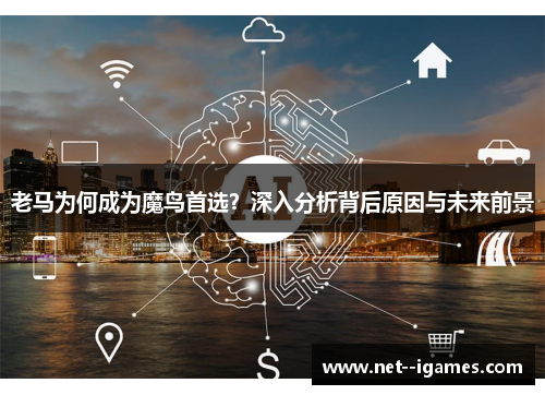 老马为何成为魔鸟首选？深入分析背后原因与未来前景