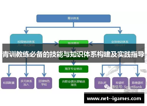 青训教练必备的技能与知识体系构建及实践指导