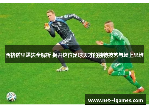 西格诺里踢法全解析 揭开这位足球天才的独特技艺与场上思维