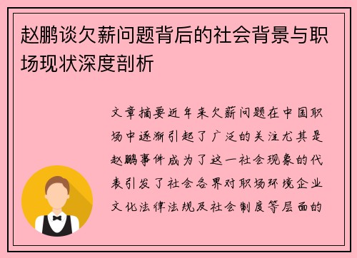 赵鹏谈欠薪问题背后的社会背景与职场现状深度剖析