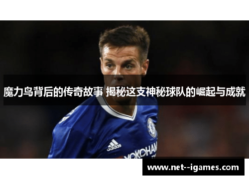 魔力鸟背后的传奇故事 揭秘这支神秘球队的崛起与成就