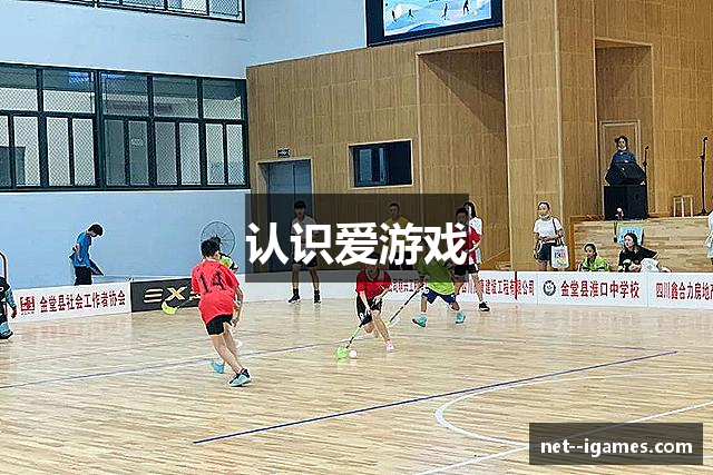 认识爱游戏